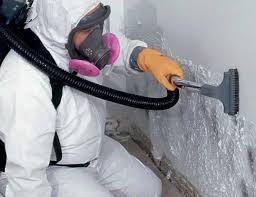 Best Asbestos and Lead Testing During Mold Inspection  in Bath, PA